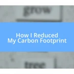 How I Reduced My Carbon Footprint