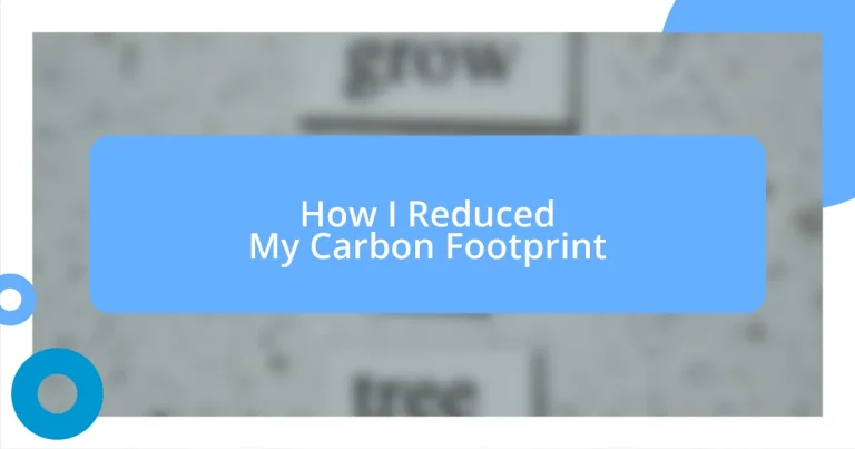 How I Reduced My Carbon Footprint